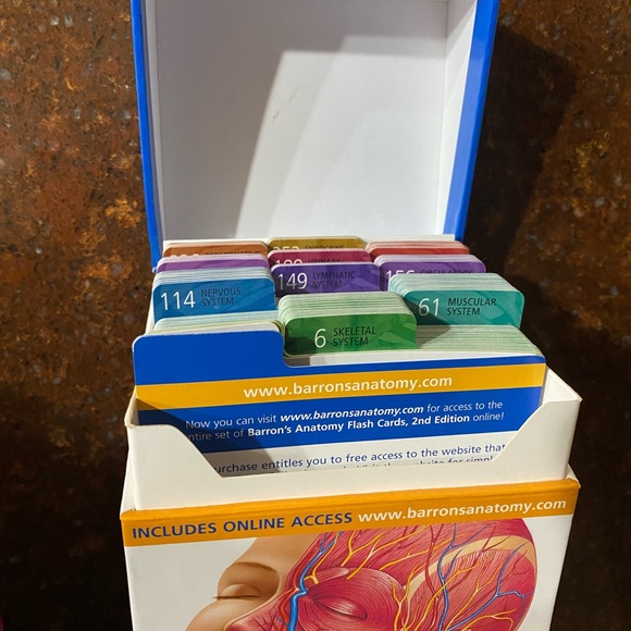 Barron’s Anatomy Flash Cards - 264 Full-Color Medical Study Cards, 2nd Edition - Picture 4 of 8